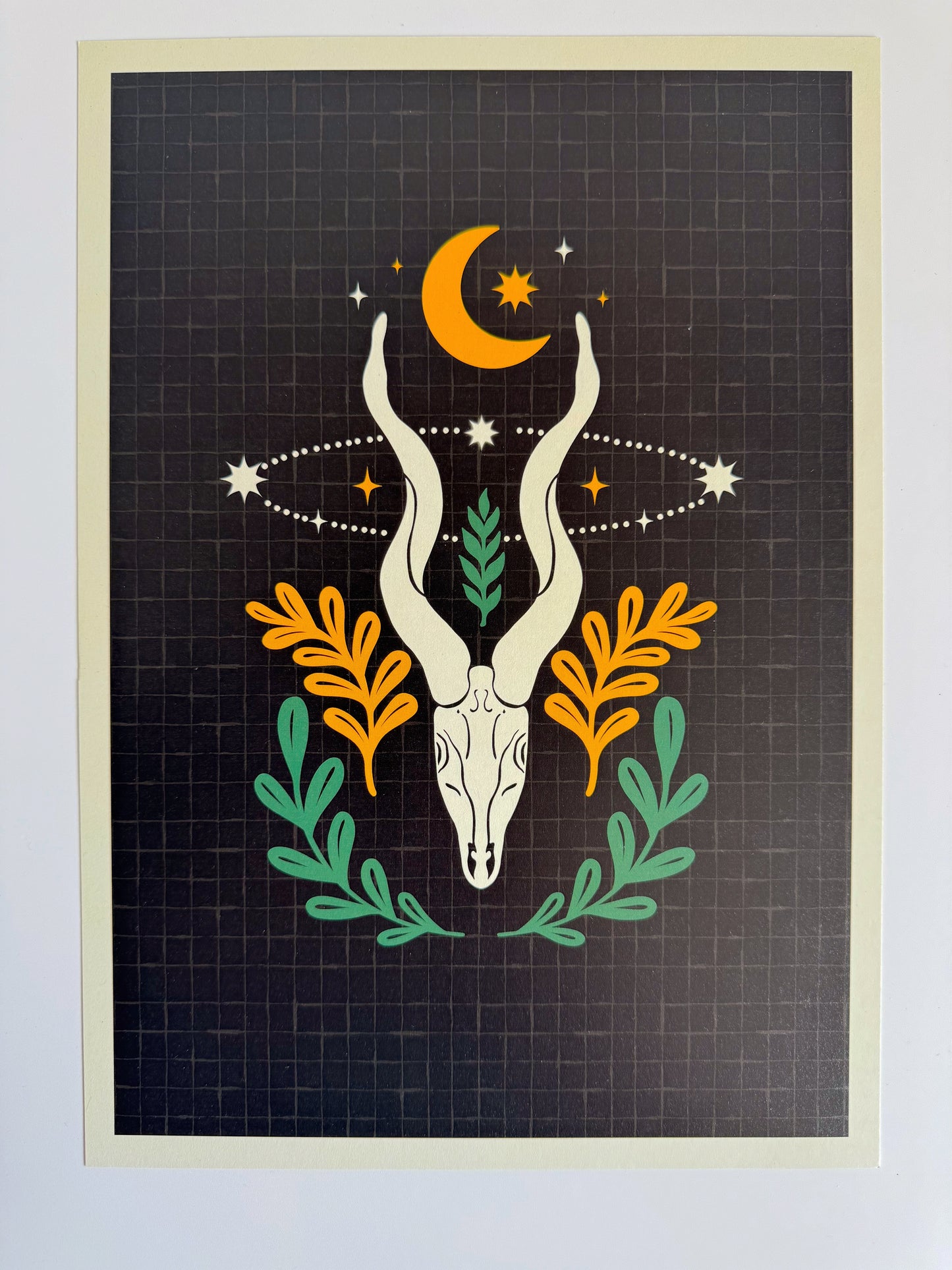 Limited Edition Animal Skull Print - A4