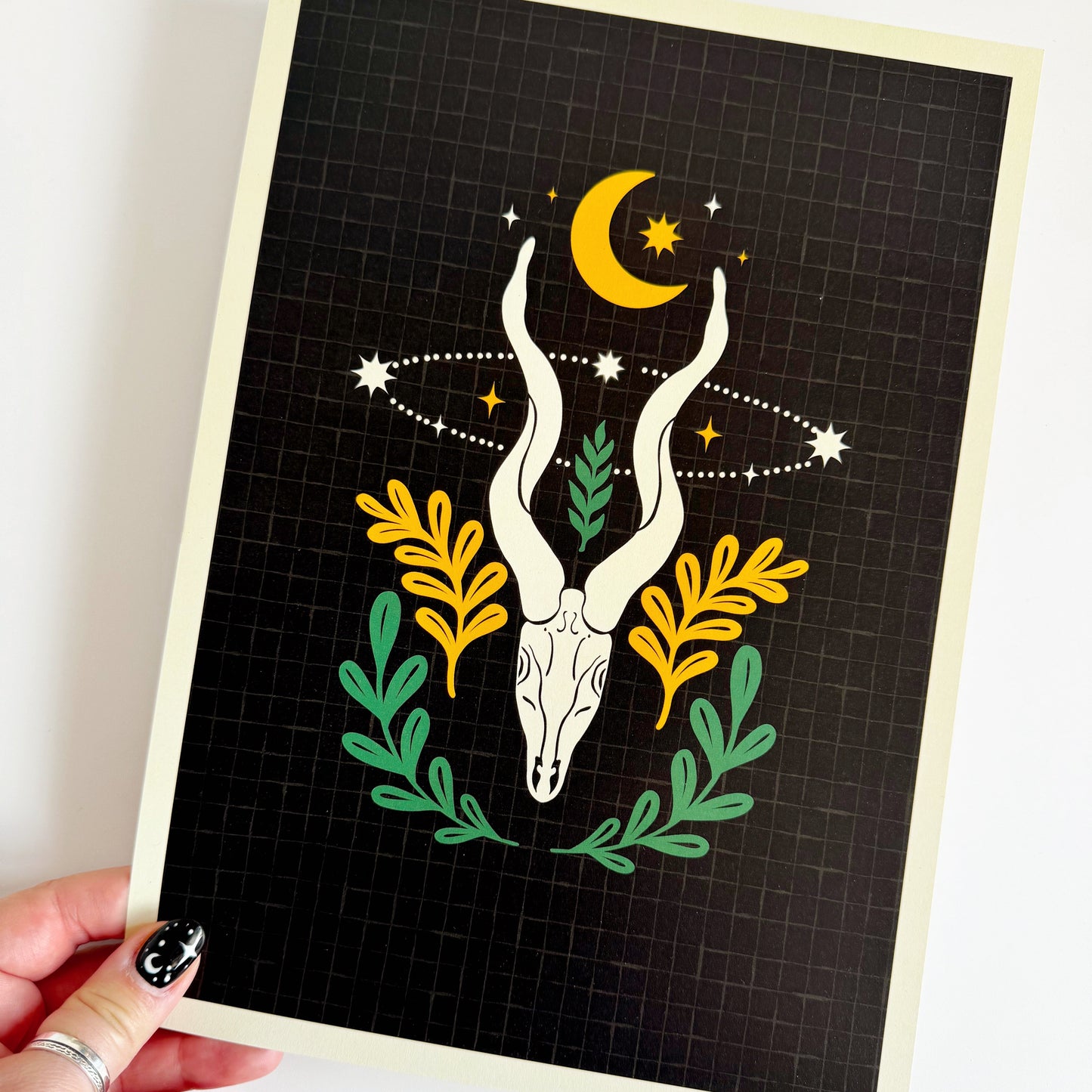 Limited Edition Print - Animal Skull Print - A4