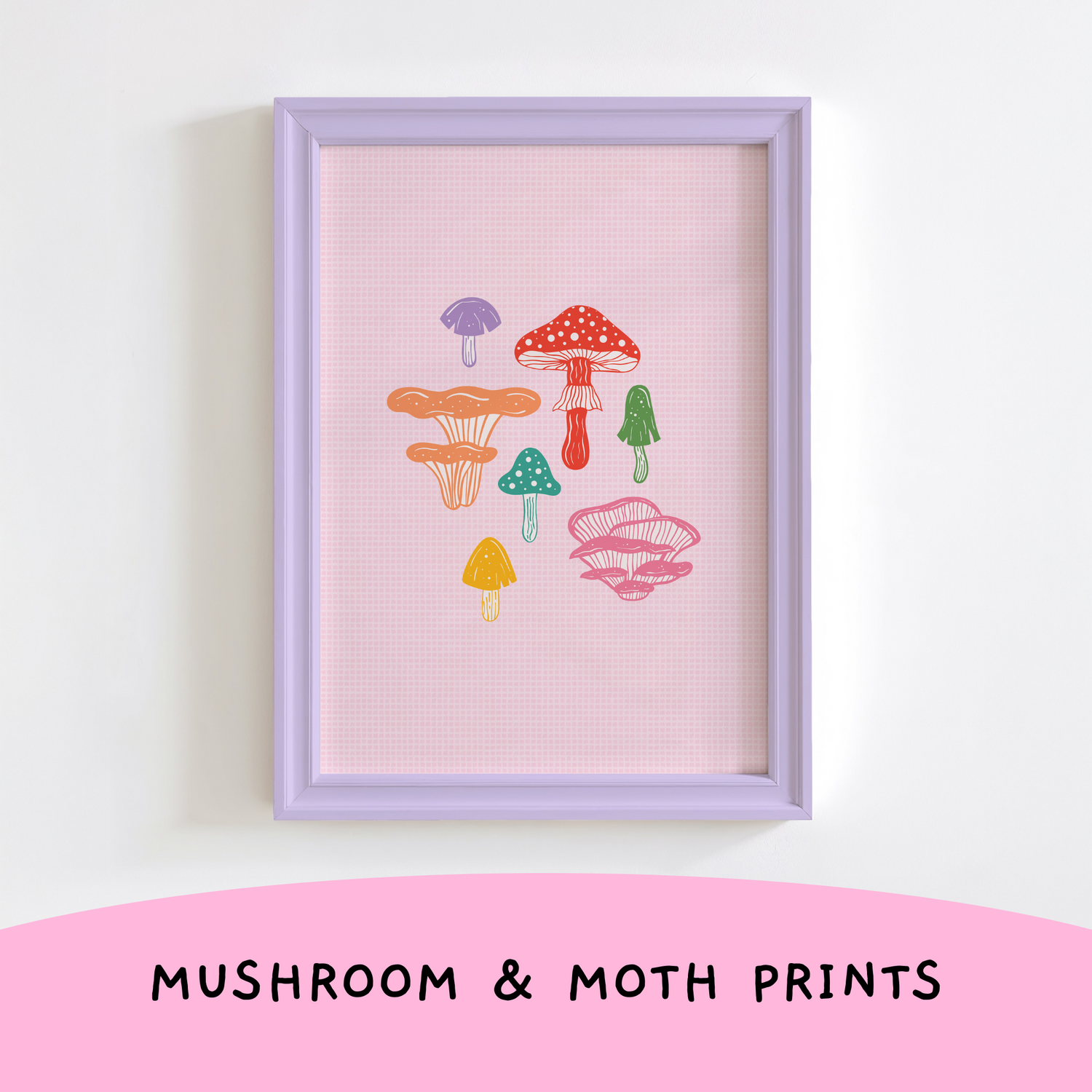 Butterflies, Moths & Mushroom Prints