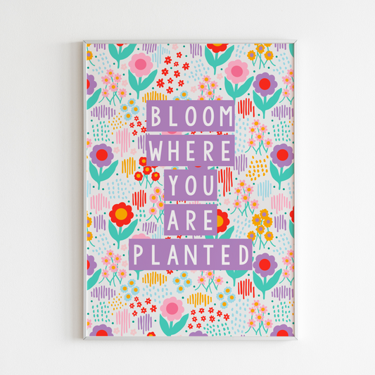 A colourful illustration of a floral background with purple text saying bloom where you are planted.