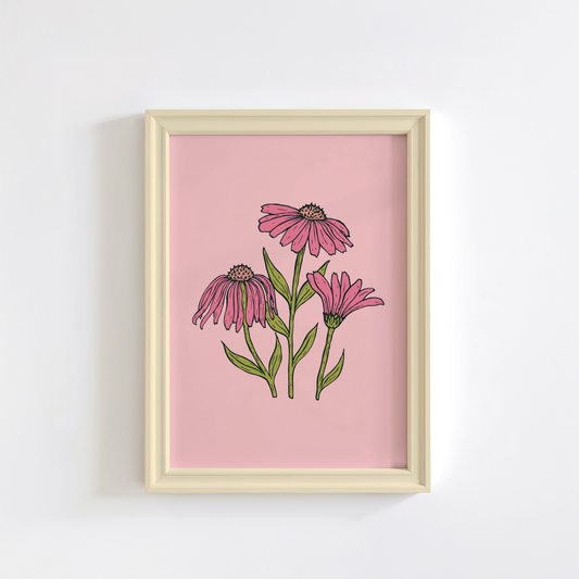 Gerbera Daisies Print