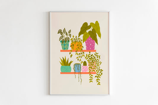 Plants On A Shelf Print
