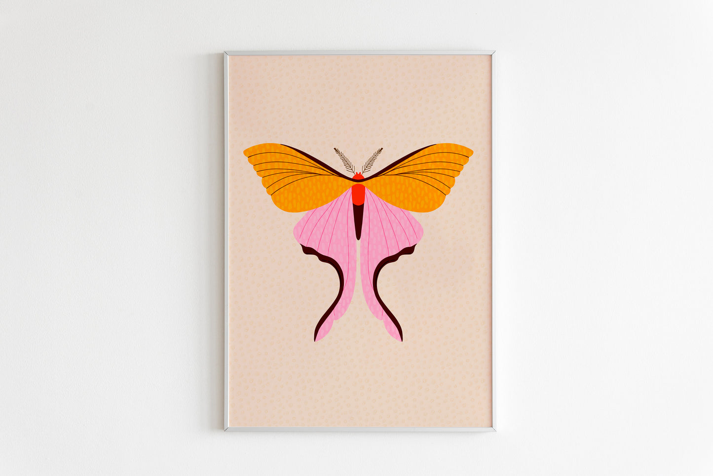 Moth Illustration Print