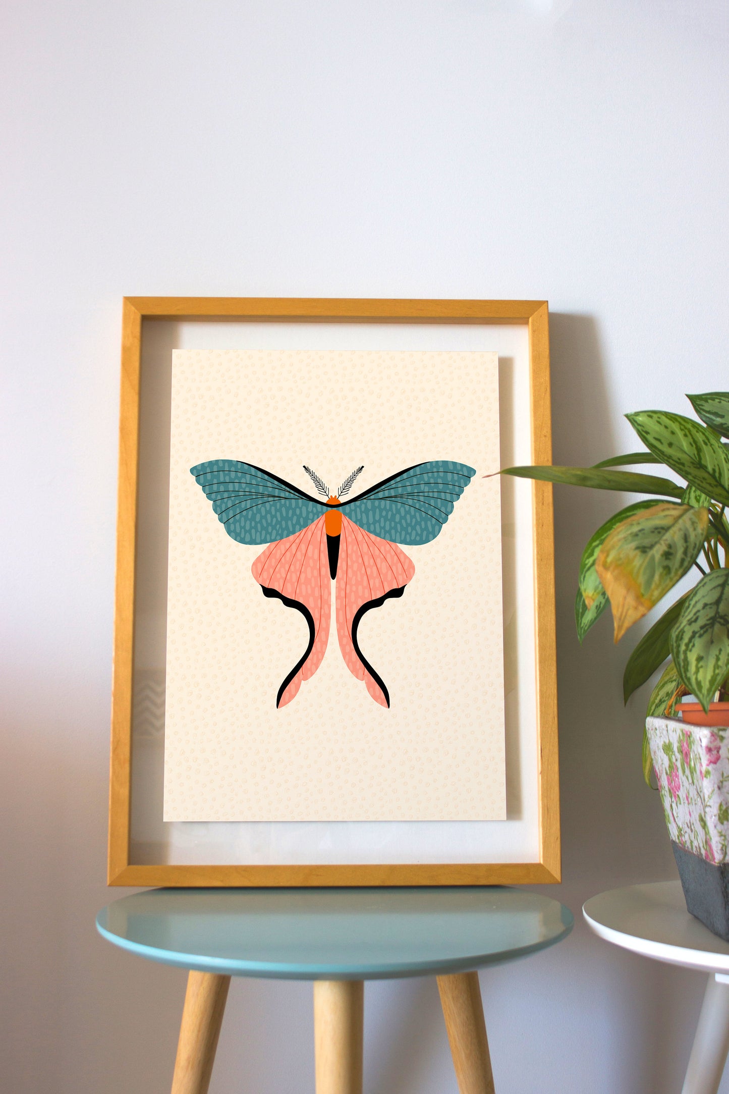 Moth Illustration Print